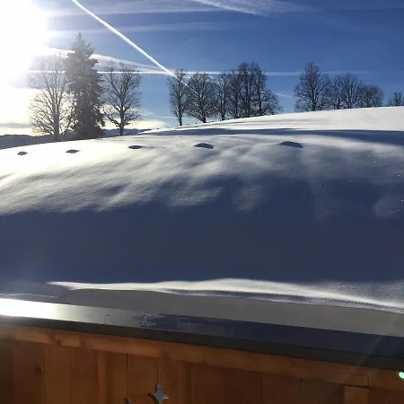 Apartamento Haus Obermoser Flachau